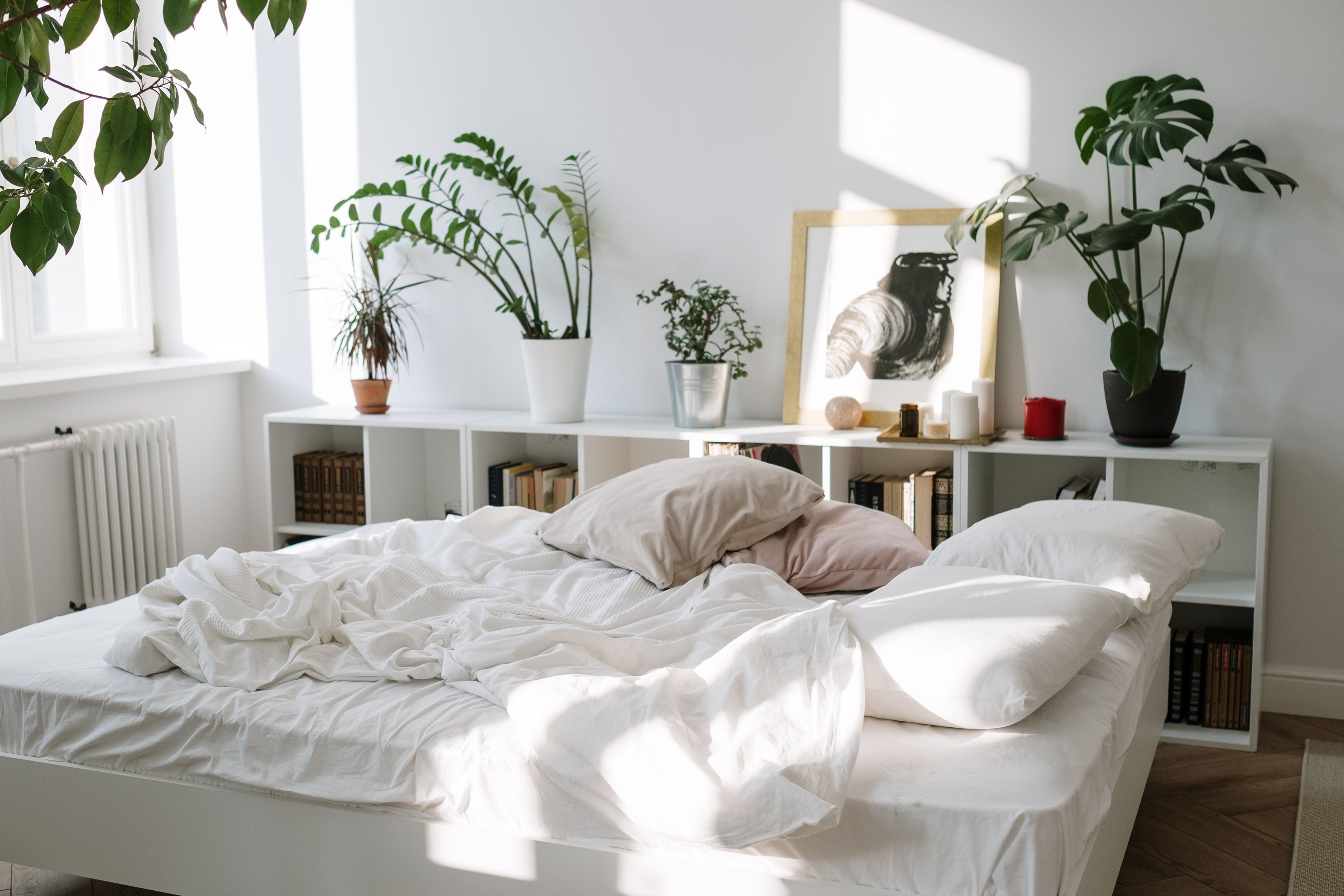 Is Bamboo Viscose or Bamboo Lyocell Better for Your Bed Sheet?